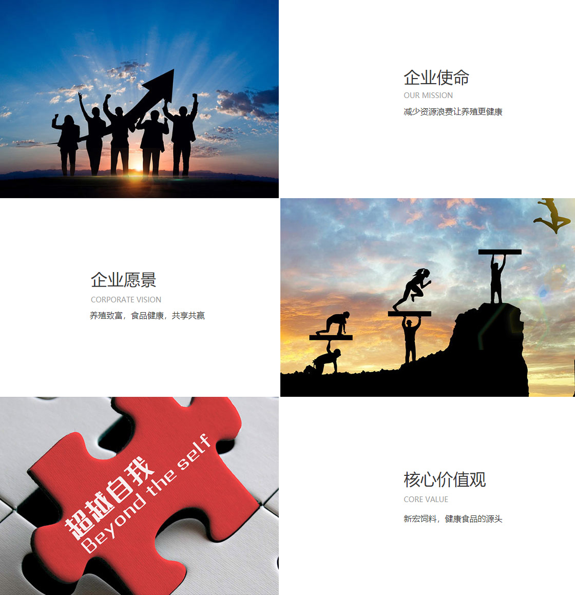 华体会全站app(图1)